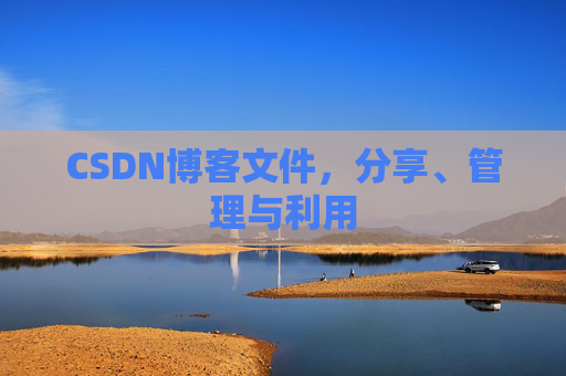 CSDN博客文件，分享、管理与利用